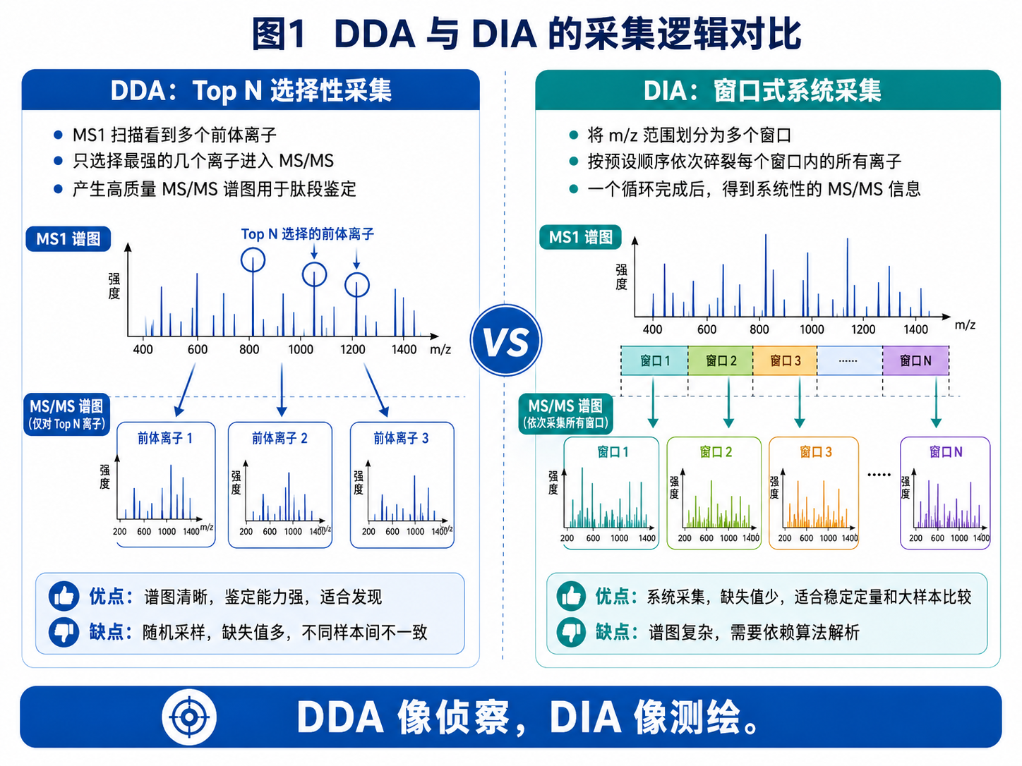 图1:DDA 与 DIA 的采集逻辑对比