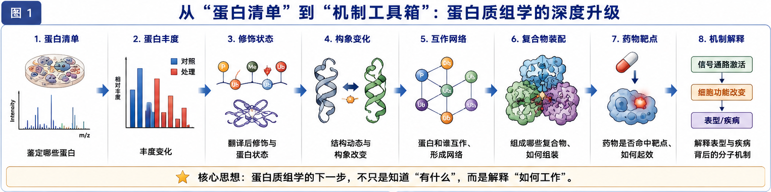 图1:从“蛋白清单”到“机制工具箱”