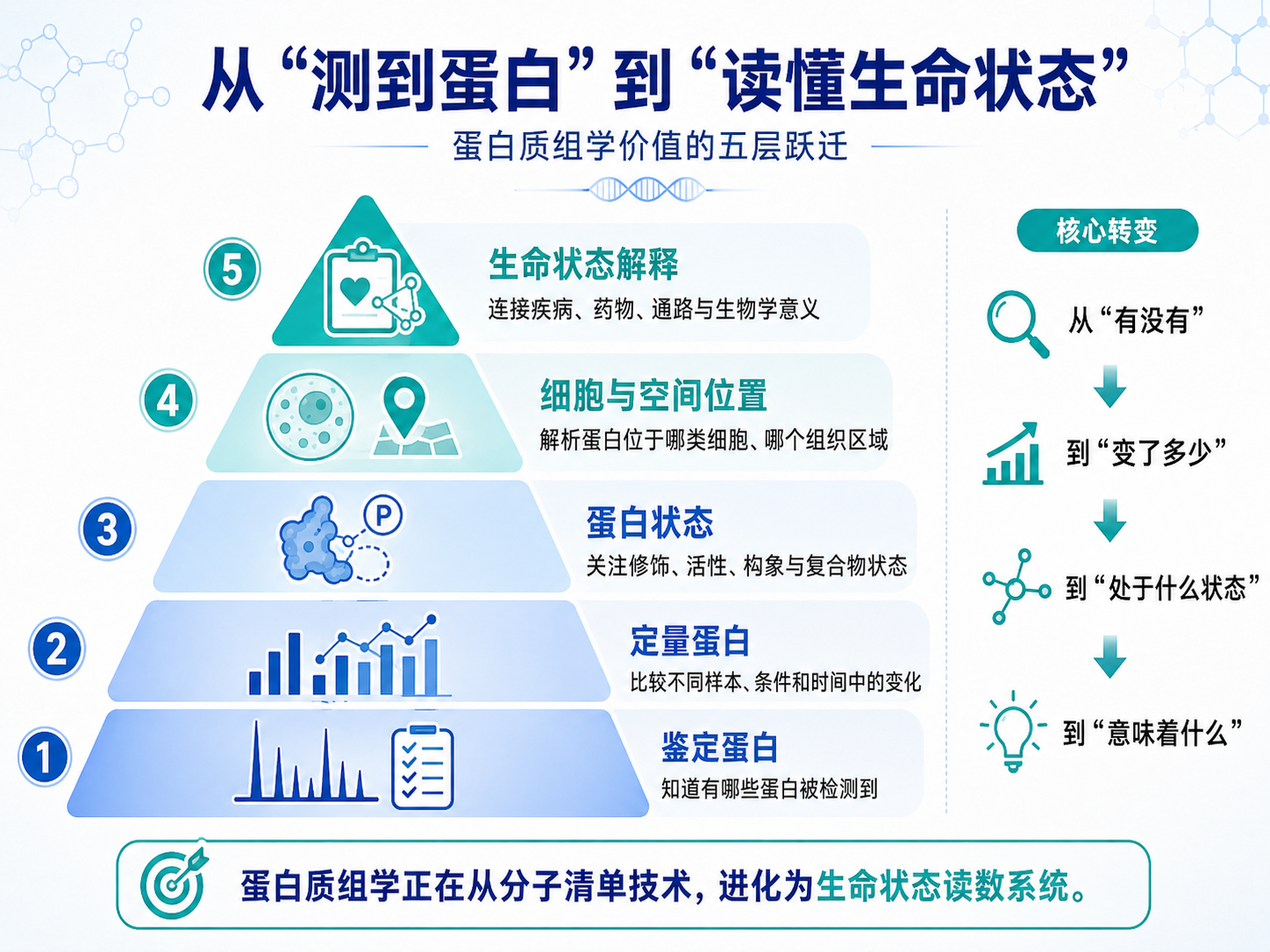 图2:从“测到蛋白”到“读懂生命状态”的五层跃迁
